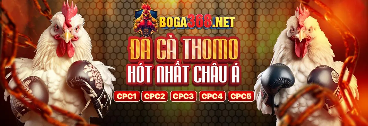 Đá gà trực tuyến vvvwin casino