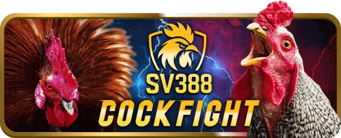 Hình ảnh minh họa các biện pháp bảo mật dữ liệu mạnh mẽ của vvvwin casino, bao gồm mã hóa và tường lửa